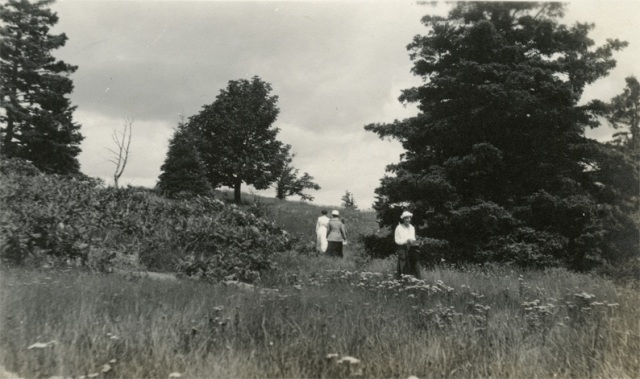 Walking up a grassy hill in the country. Very old photo.
